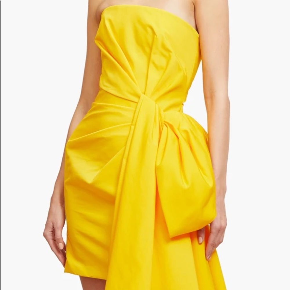 Carolina Herrera Dress - Picture 11 of 11